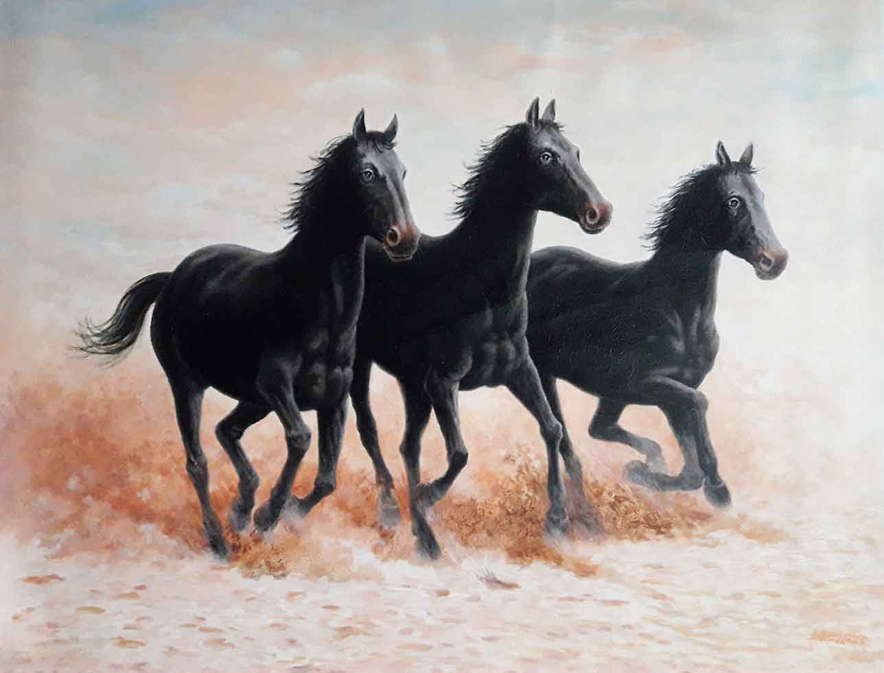 Freedom Race