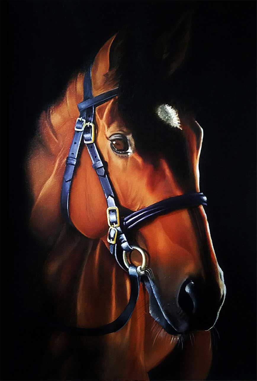 Horse 1
