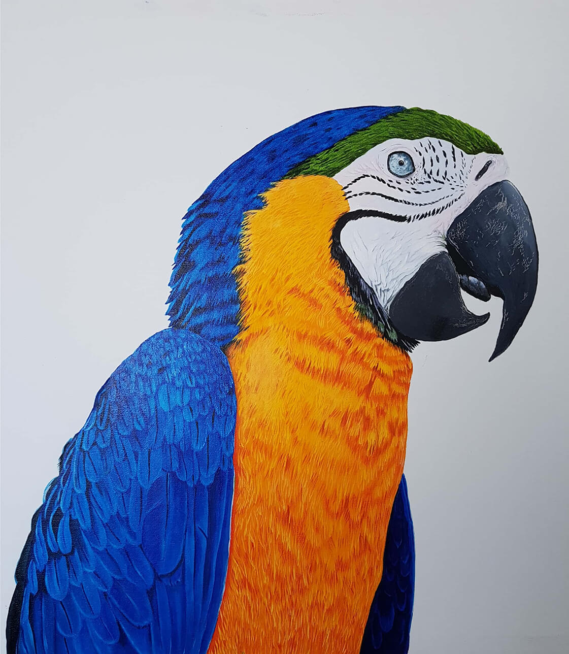 Mecaw