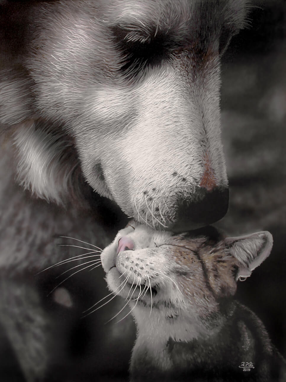 Animal Stories 6
