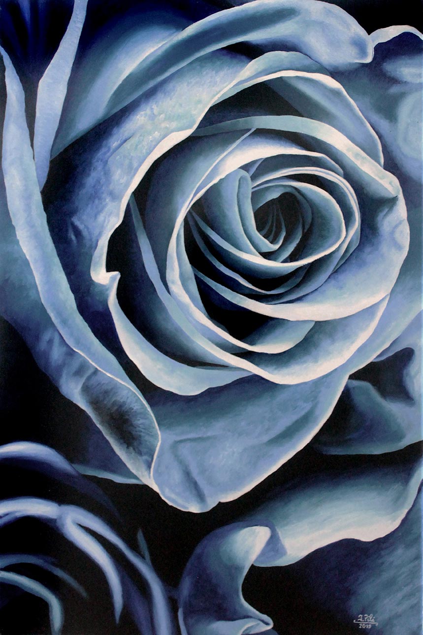 Blue Rose